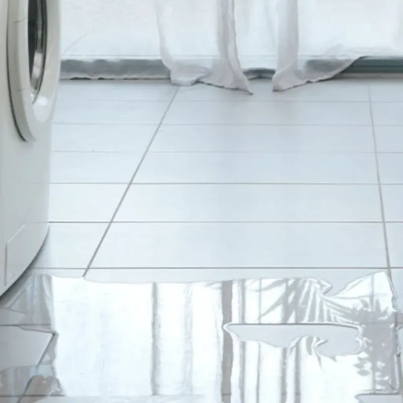 Appliance Leak Cleanup in Sidney, IL