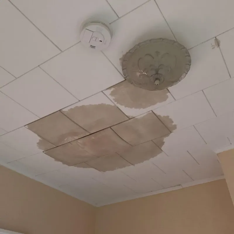 Ceiling Water Damage Repair in Sidney, IL