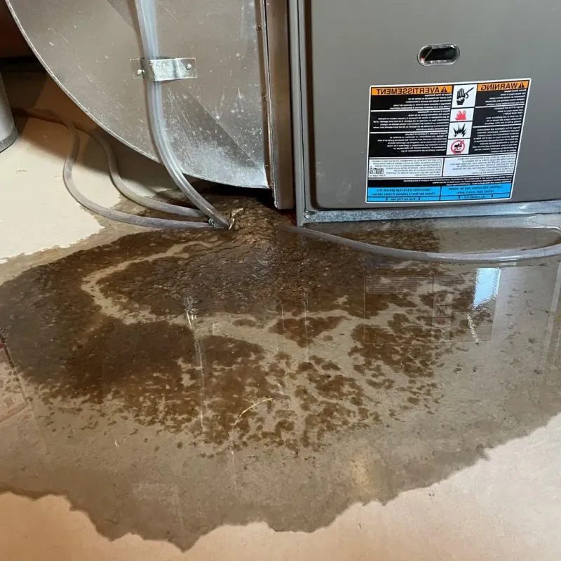 Pipe Burst and Leak Restoration in Sidney, IL