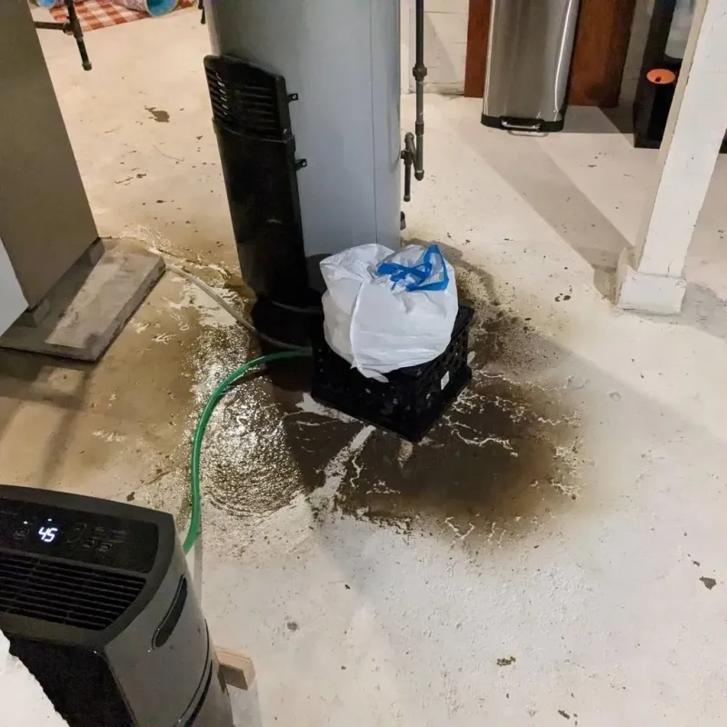 Sewage Backup Cleanup Service in Sidney, IL